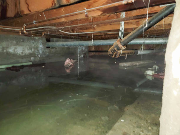 Best Commercial water damage restoration  in Lake Park, GA