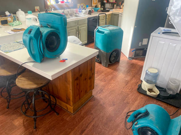 Best Basement water damage restoration  in Lake Park, GA