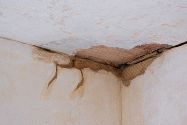 Best Sewage cleanup and water damage restoration  in Lake Park, GA
