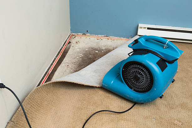 Reliable Lake Park, GA Water damage restoration Solutions